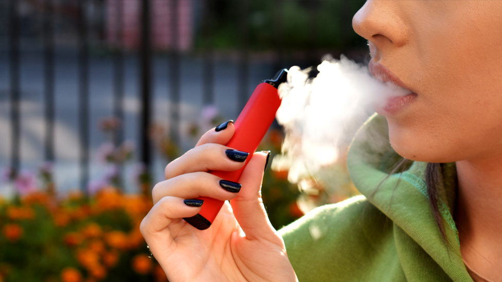 Premium Vaping Products Only – Vaporizers &amp; Cartridges Online Europe at Euro Weed Clinic