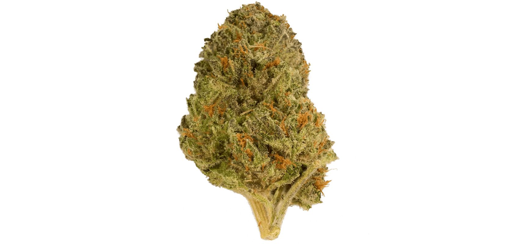 Buy Premium U.S. Hash &amp; Distillates: Buy Cannabis Extracts USA
