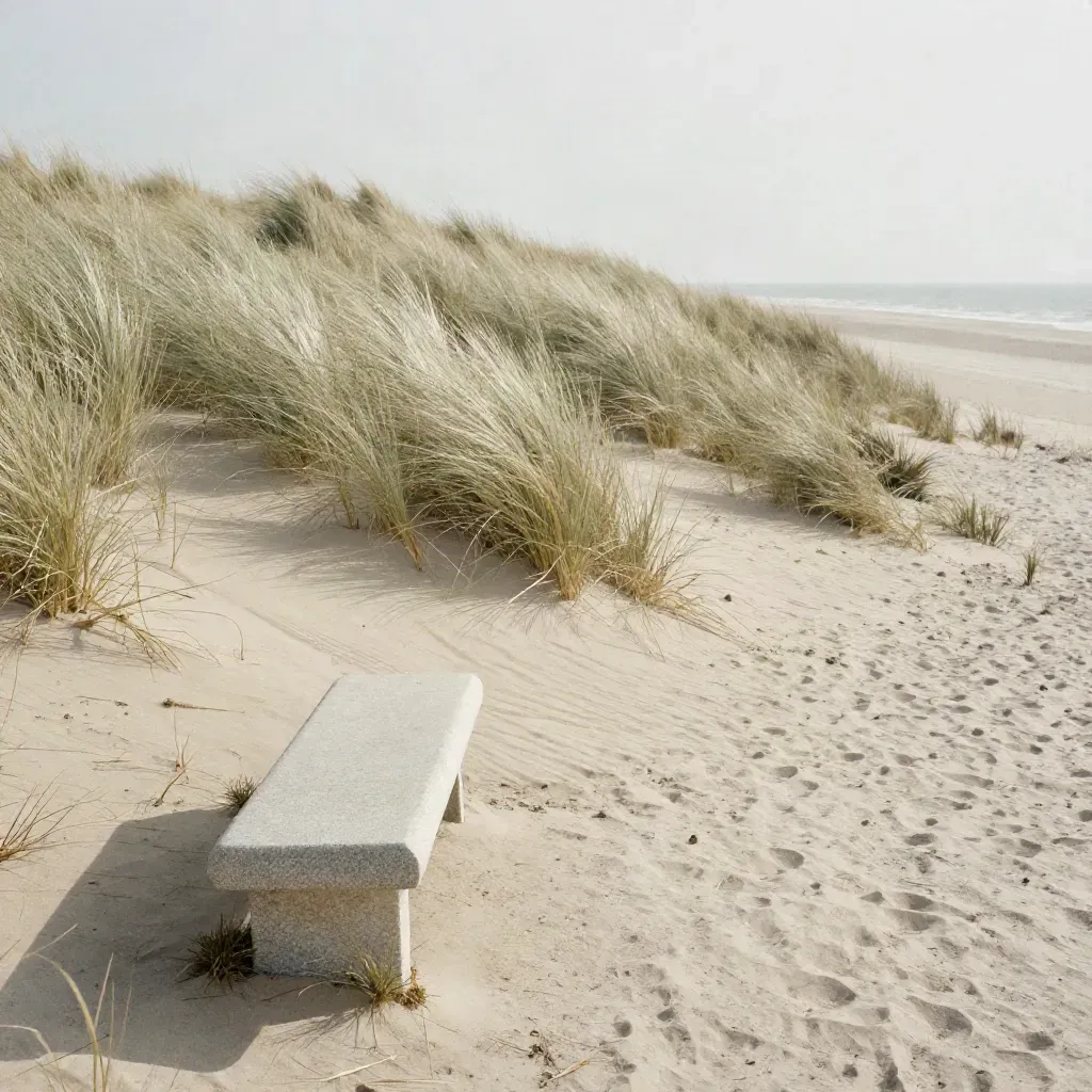 Dune grasses, pale stone bench, and sandy path along a hushed coastal horizon in soft light.